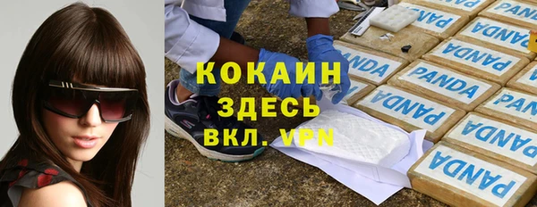мескалин Заводоуковск