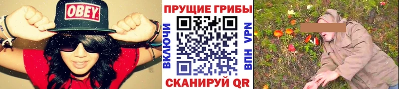 Псилоцибиновые грибы Cubensis Купить где Выкса